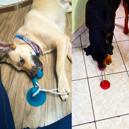 Suction Cup Dog Tug Toy - Keep Your Dog Busy For Hours