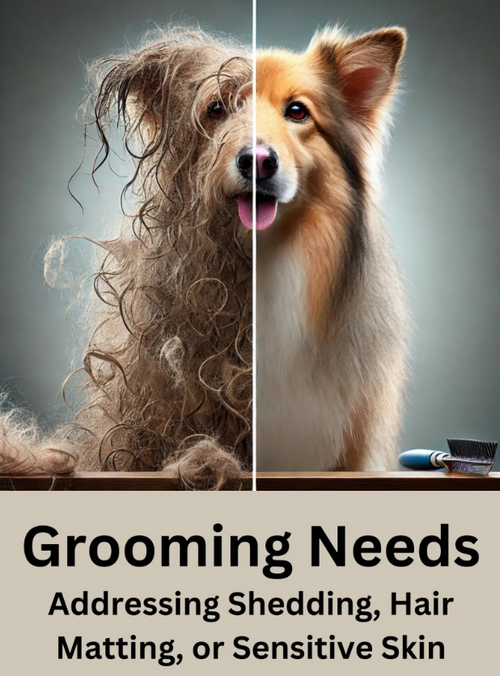 Grooming and health care guide