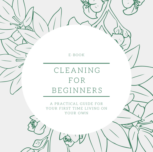 Cleaning For Beginners Bundle