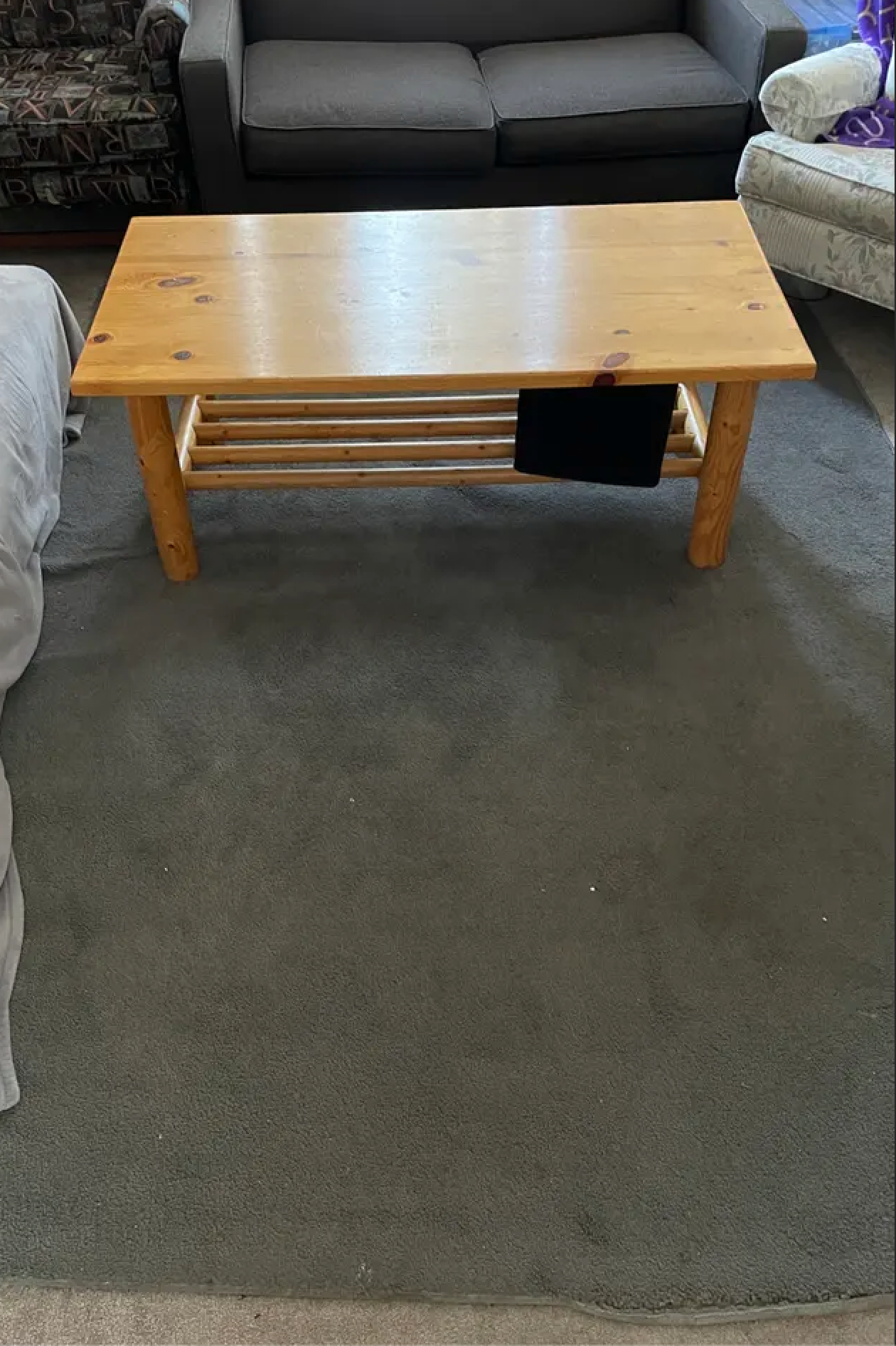 Carpet before using PetiboPet