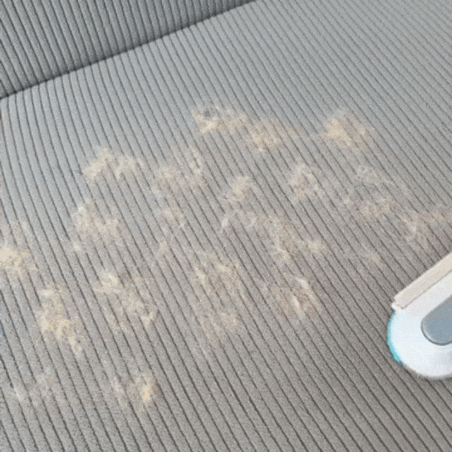 Pet Hair Lint Remover